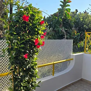 Victoria Apartment Vilamoura